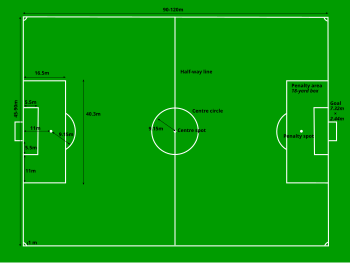 350px-Football_pitch_metric.svg.png