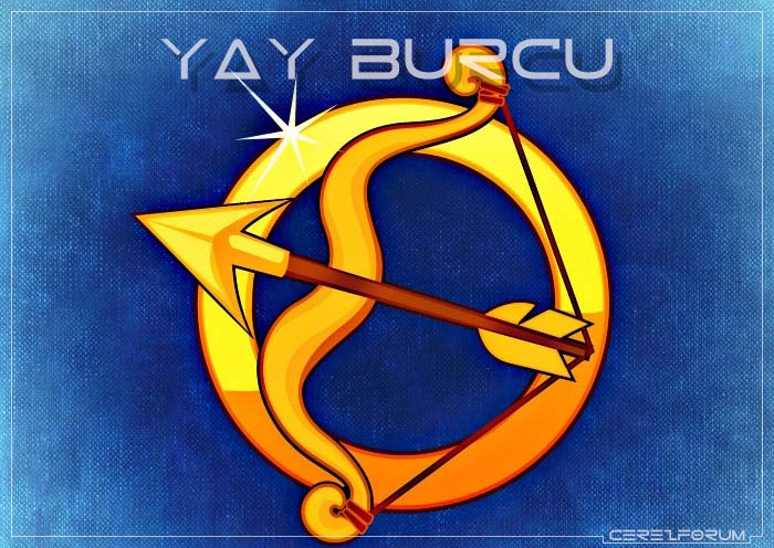 yay-burcu.jpg