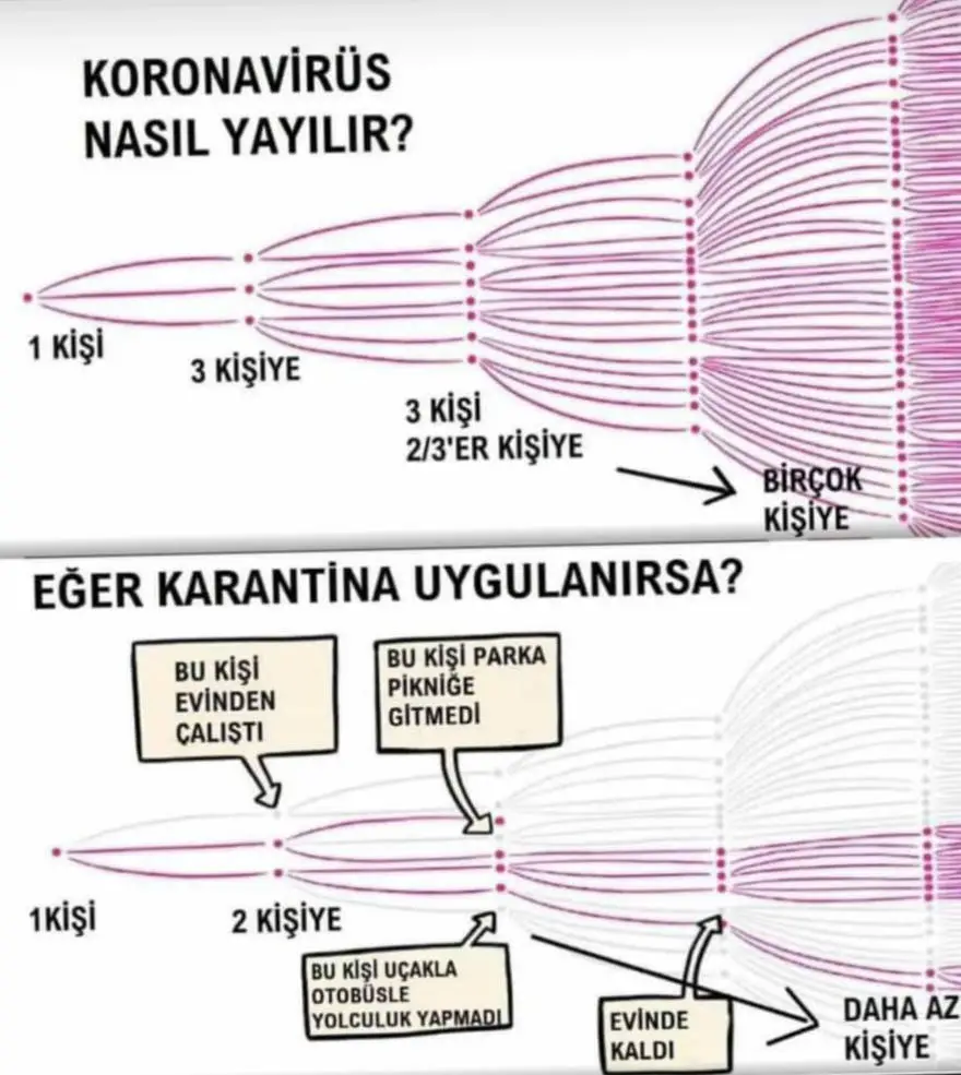 Corona vürüs yayılım şeması