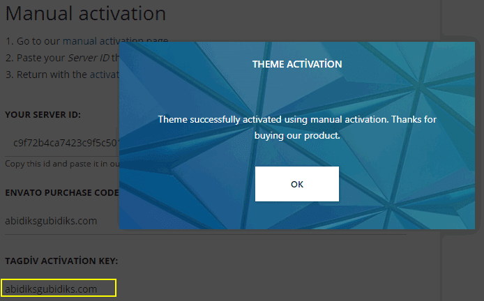 activation3.png