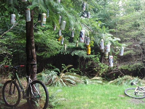 beer+tree.jpg