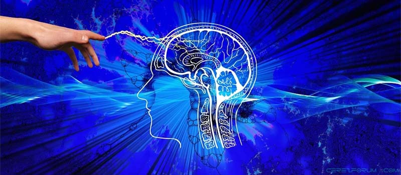 Beynin gizemli özellikleri