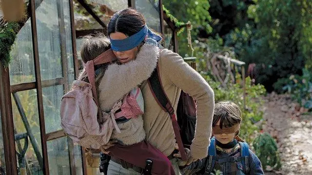 Bird box filmi