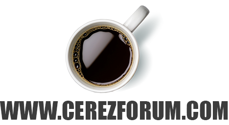 ÇerezForum logo çalışması
