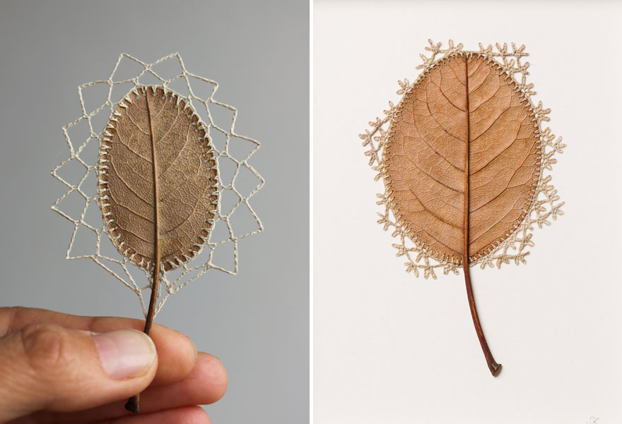 crocheted-leaf-art-susanna-bauer-2.jpg