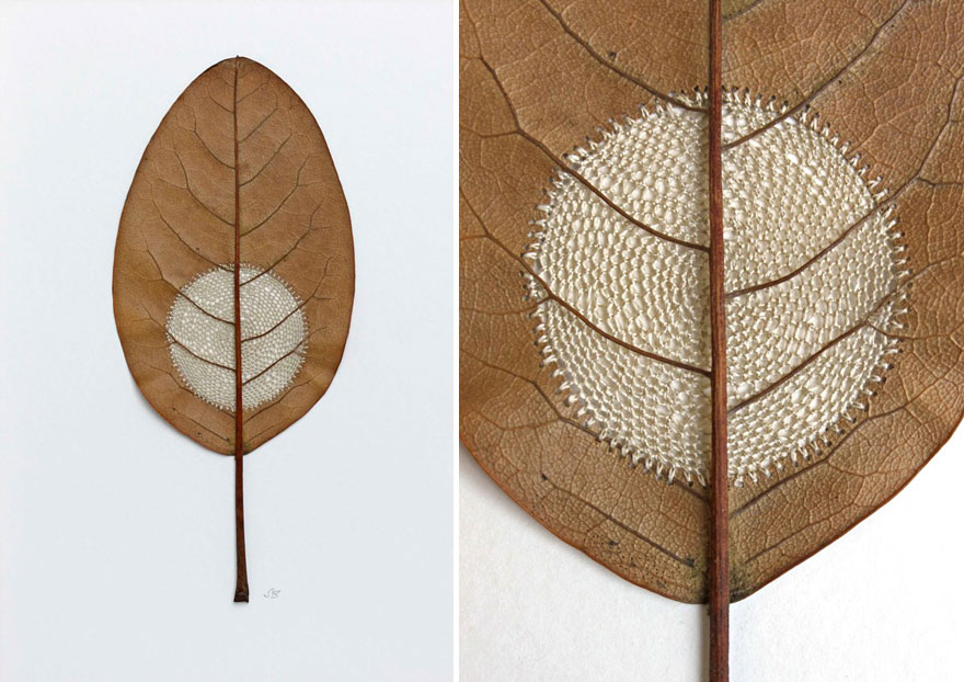 crocheted-leaf-art-susanna-bauer-5.jpg