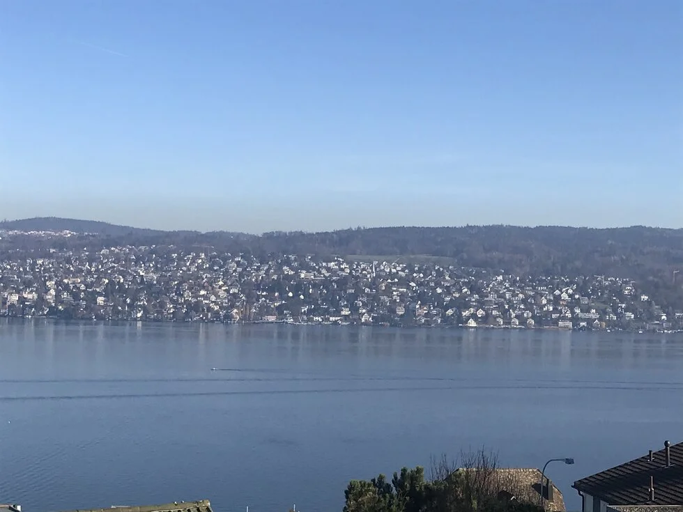 Zurich gölü
