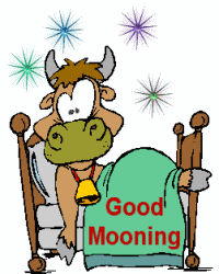 good-morning-cow-ag1.gif