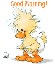 good-morning-duckling-ag1.gif