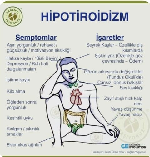 Hipotiroidizm.jpg