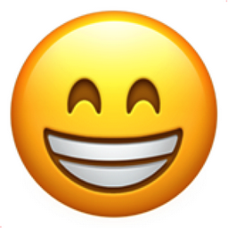 new-face-smile%2B%25282%2529.png