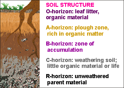 soil22.gif