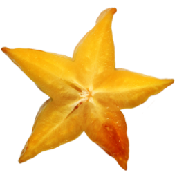 starfruit-icon.png