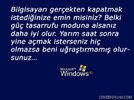 windows2.jpg