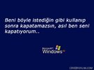 windows3.jpg
