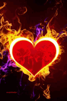flaming-heart.gif