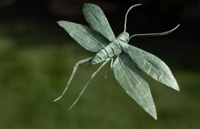 insects-origami-07.jpg