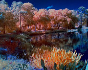 nature_in_painting_10.jpg