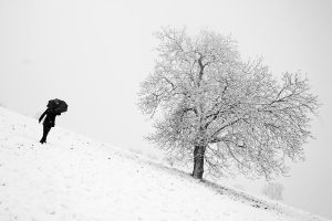 Snow_by_jfphotography.jpg