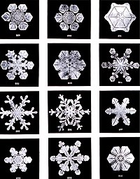 200px-SnowflakesWilsonBentley.jpg