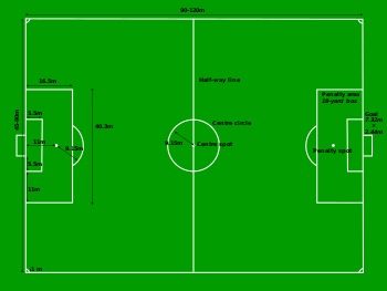 350px-Football_pitch_metric.svg.png