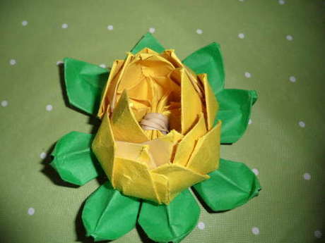 origami-lotus-flower.jpg