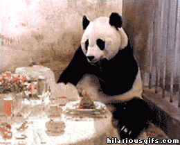 Sevimli panda