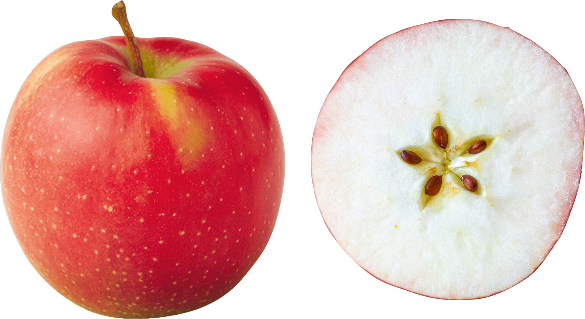 Transparan elma