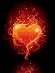 heart-on-fire-heart.gif