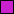 purple.gif