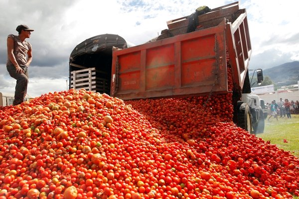 Kolombiya'da domates savaşları!