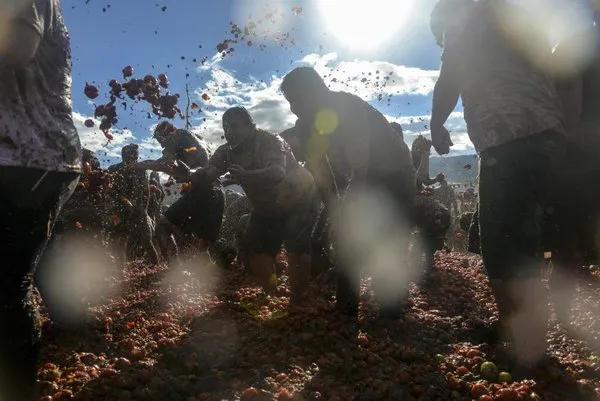 Kolombiya'da domates savaşları!