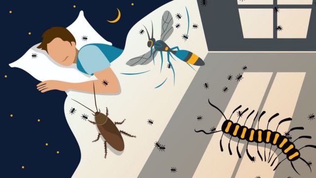 Böcek saldırısı gibi tehlike rüyaları salgının başlangıcında daha yaygındı