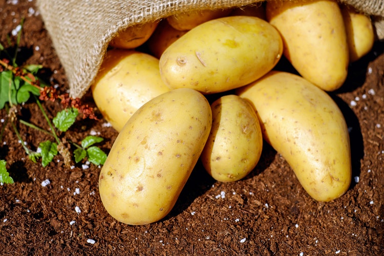 karbonhidratli-yiyecekler-patates.jpg